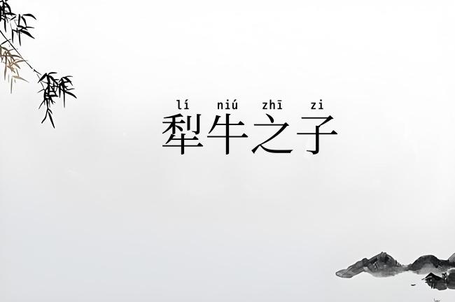 犁牛之子