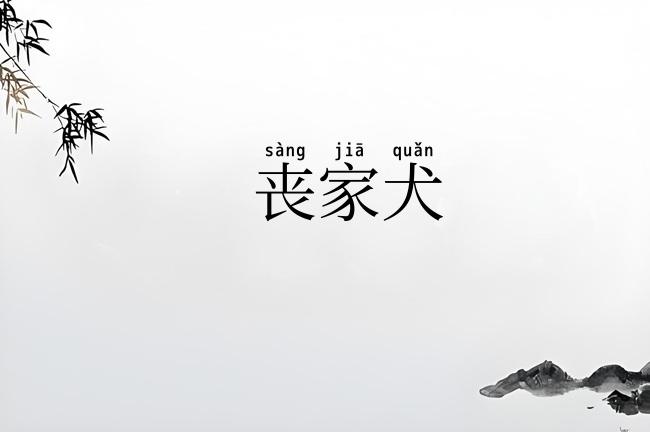 丧家犬