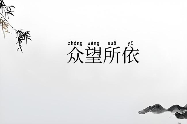 众望所依