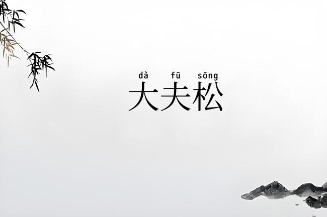 大夫松