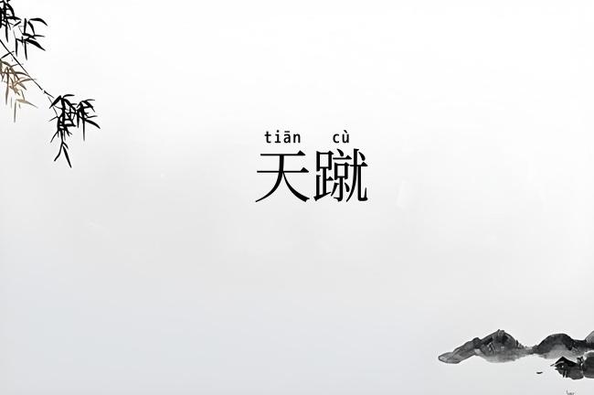 天蹴