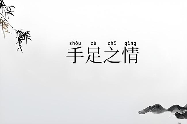 手足之情