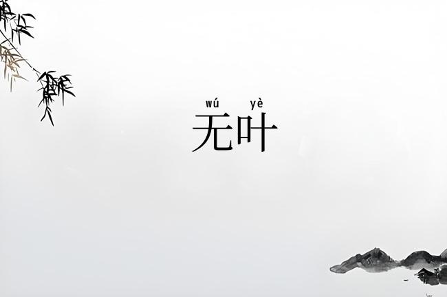 无叶