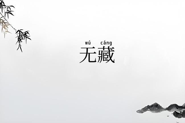 无藏