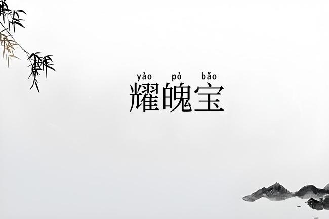 耀魄宝