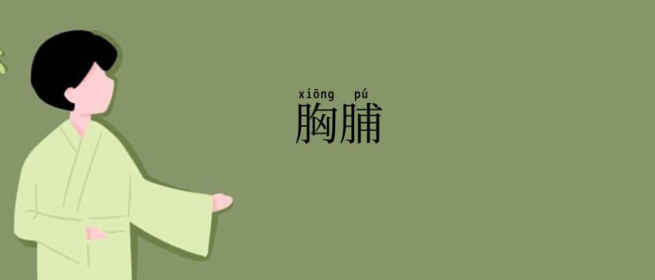 胸脯