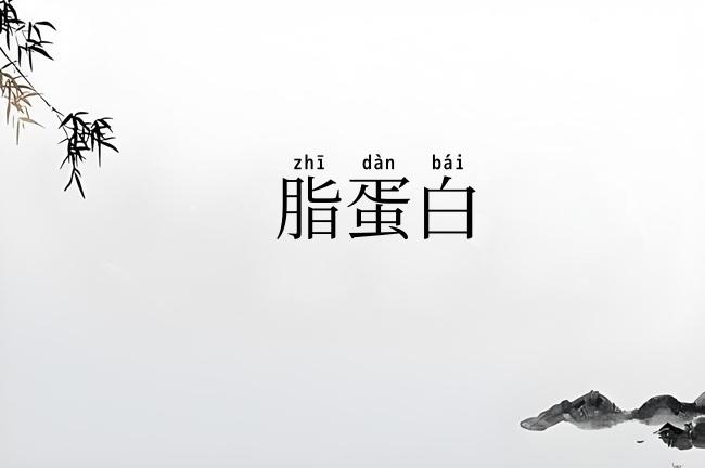 脂蛋白