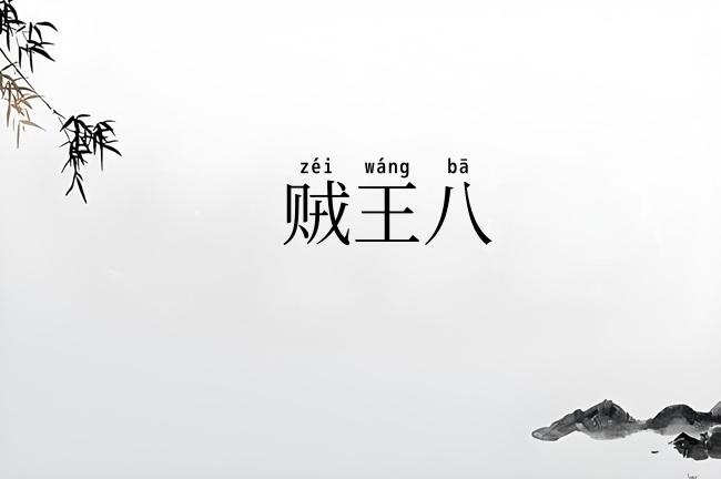 贼王八