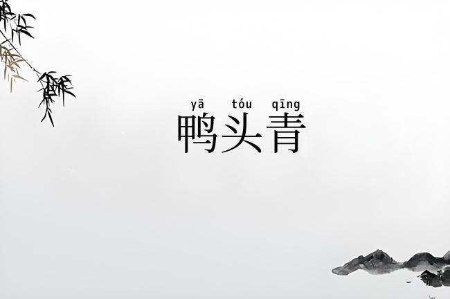 鸭头青