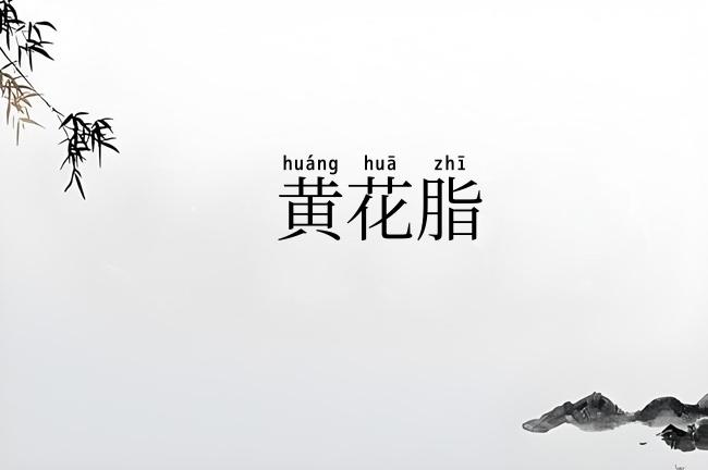 黄花脂