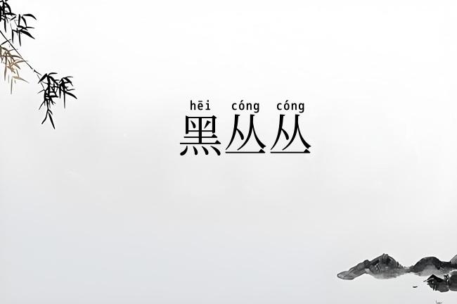 黑丛丛